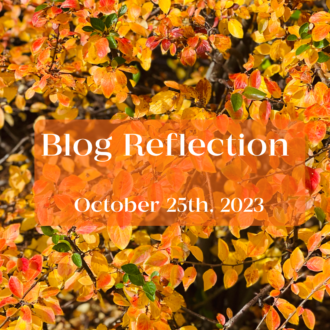 Blog reflection Oct 2025-0