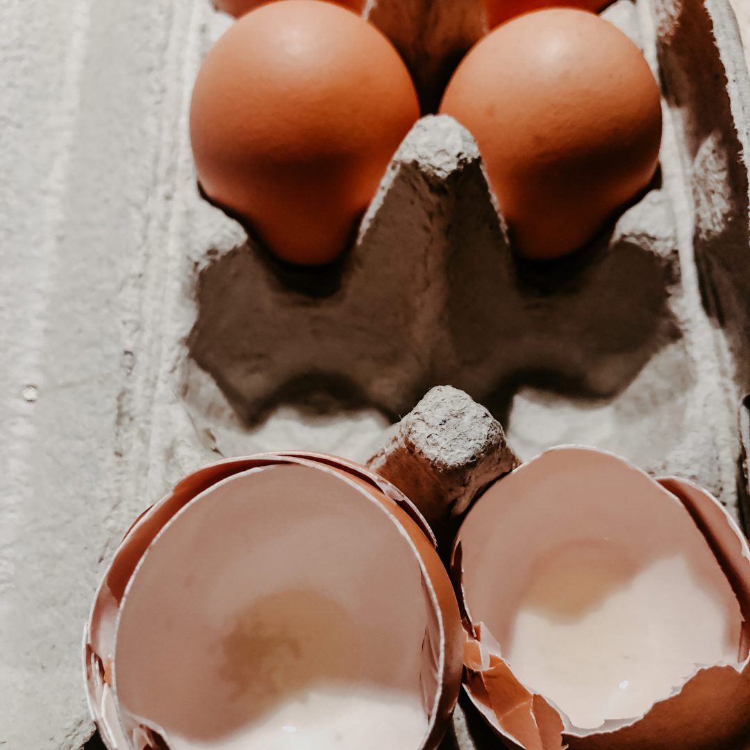 egg-shells-and-eggs-in-egg-carton-2021-07-14-17-03-26-utc