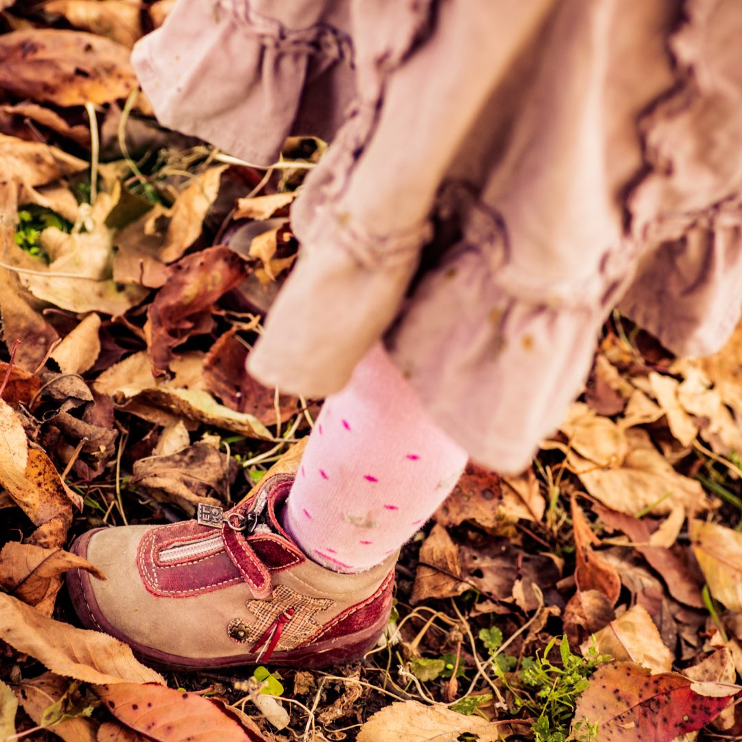 Legs of a child walking on dry leaves in autumn. Child walking in warm sunny weather